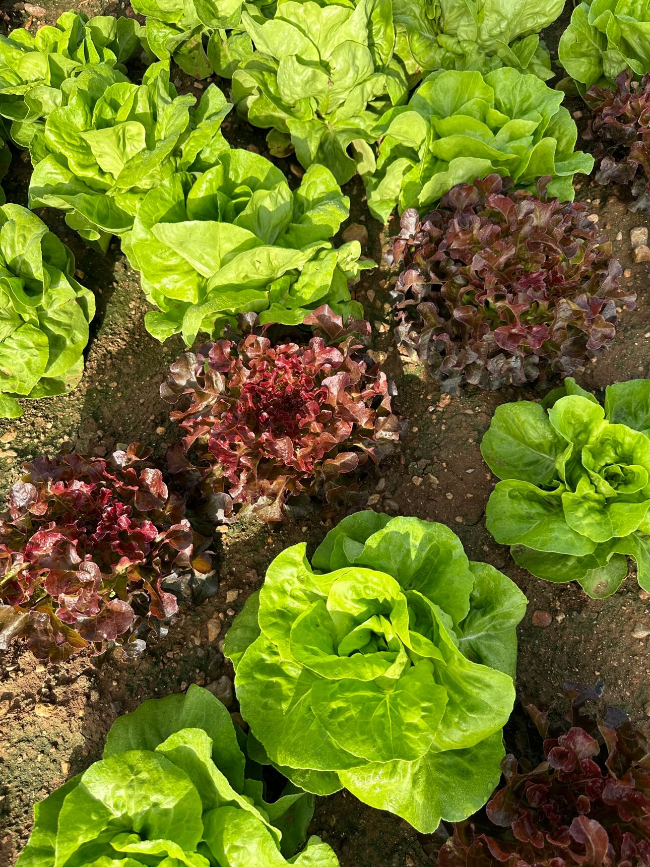 Donaciones de alimentos y recursos a personas en situación de exclusión