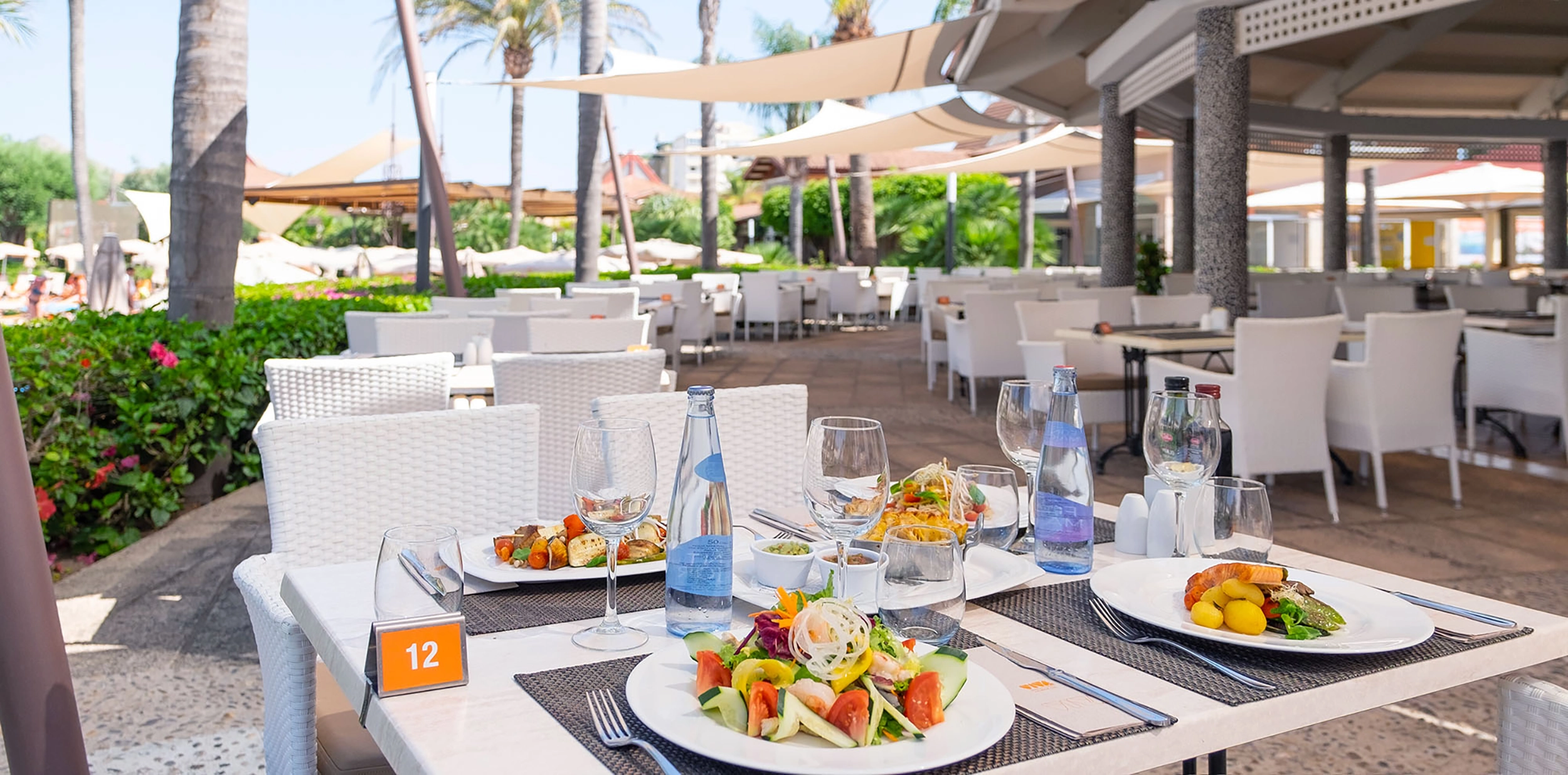 201907-VIVA Blue-La Palapa 2.webp