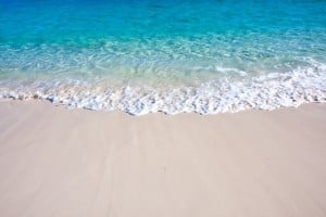 shutterstock_147068276petita