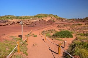 camicavalls