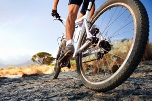 shutterstock_135442784