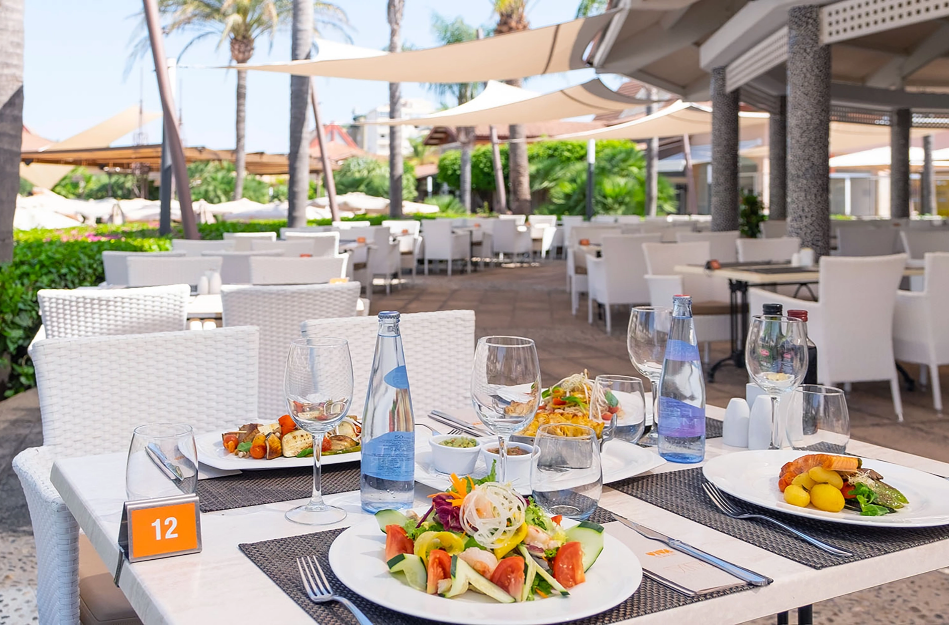 201907-VIVA Blue-La Palapa 2 (3).webp