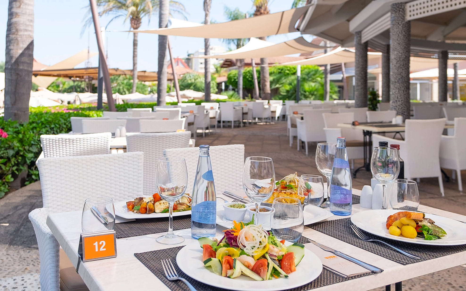 201907-VIVA Blue-La Palapa 2 (1).webp