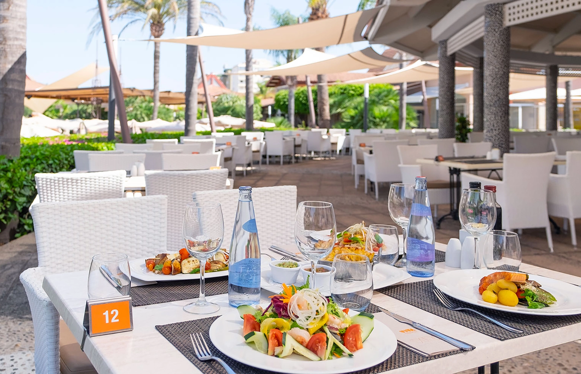 201907-VIVA Blue-La Palapa 2 (2).webp