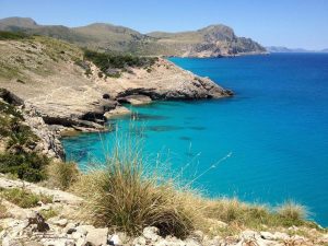 Los colores de Mallorca que podrás captar en tus excursiones por la isla