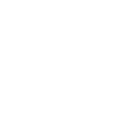 Viva Selection Club