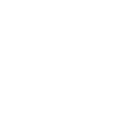 Viva Selection Club